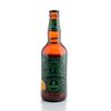 schornstein-ipa-500ml