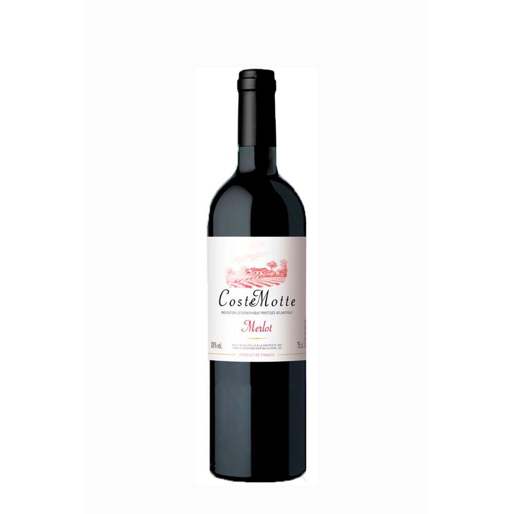 Vinho Coste Motte Merlot IGP 750ml Super Adega